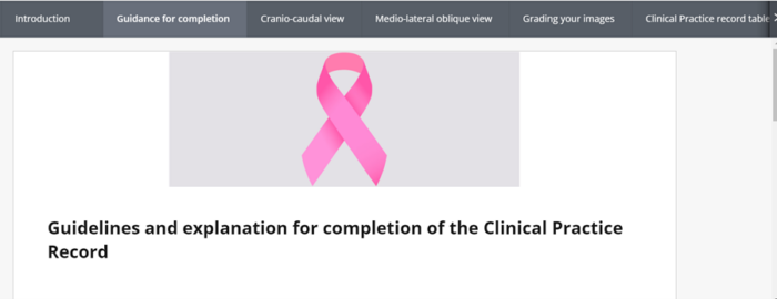 A page within the workbook used for the Mammography module in the School of Medicine. There is a header image of a pink ribbon and a title "Guidelines and explanation for completion of the Clinical Practice Record".